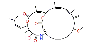 Amphilactam D